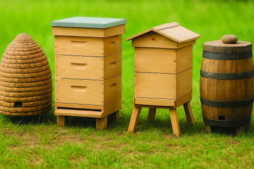 Read more about the article The Rise of Urban Beekeeping
